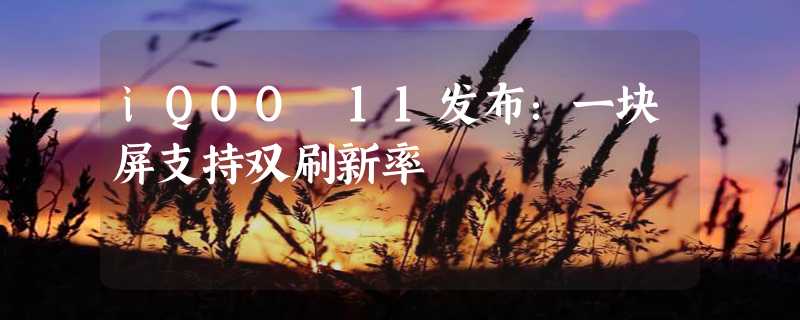 iQOO 11发布：一块屏支持双刷新率