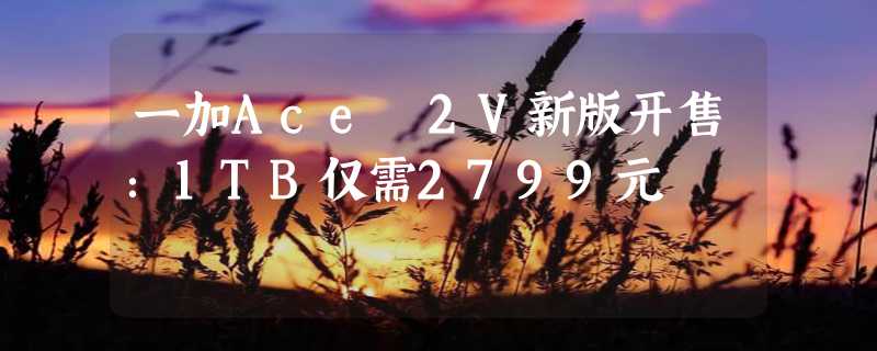 一加Ace 2V新版开售：1TB仅需2799元