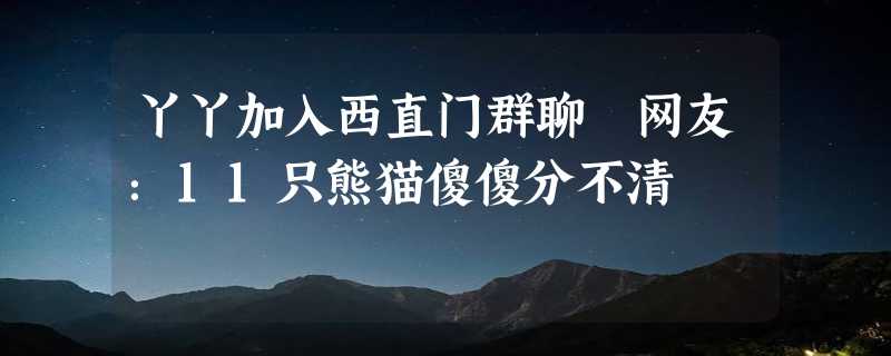 丫丫加入西直门群聊 网友：11只熊猫傻傻分不清