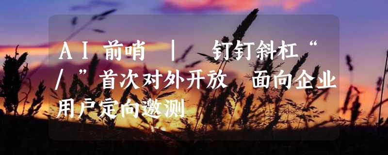 AI前哨 | 钉钉斜杠“/”首次对外开放 面向企业用户定向邀测