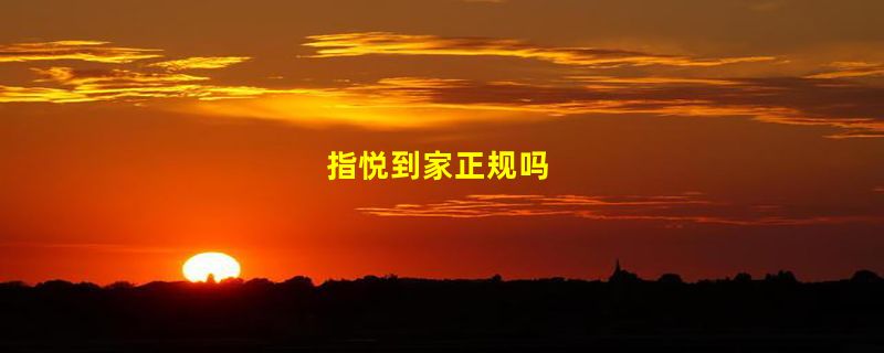 指悦到家正规吗