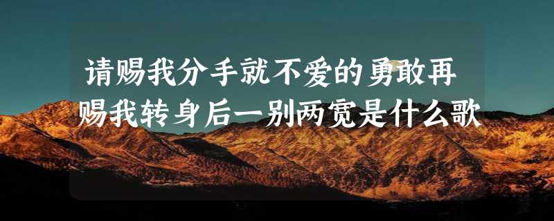 请赐我分手就不爱的勇敢再赐我转身后一别两宽是什么歌