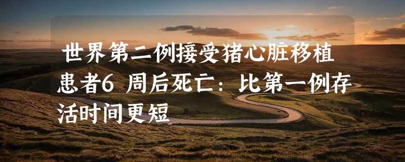 世界第二例接受猪心脏移植患者6周后死亡：比第一例存活时间更短