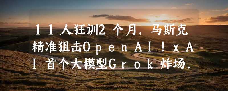 11人狂训2个月，马斯克精准狙击OpenAI！xAI首个大模型Grok炸场，330亿参数每月16刀