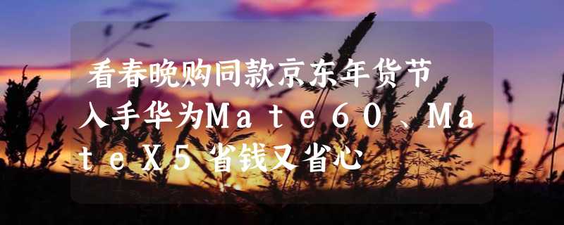 看春晚购同款京东年货节 入手华为Mate60、MateX5省钱又省心