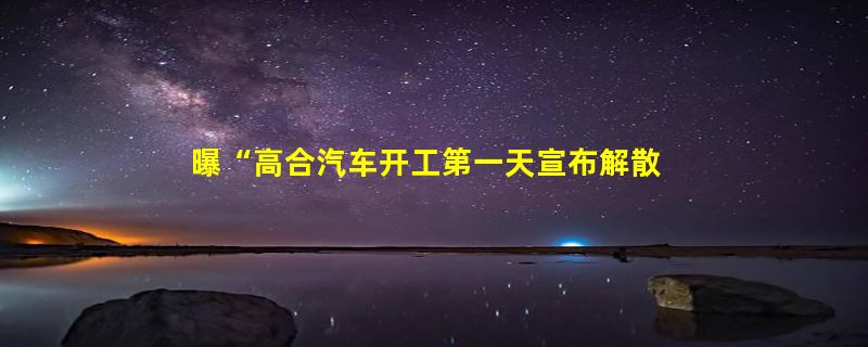 曝“高合汽车开工第一天宣布解散” 官方回应：不属实