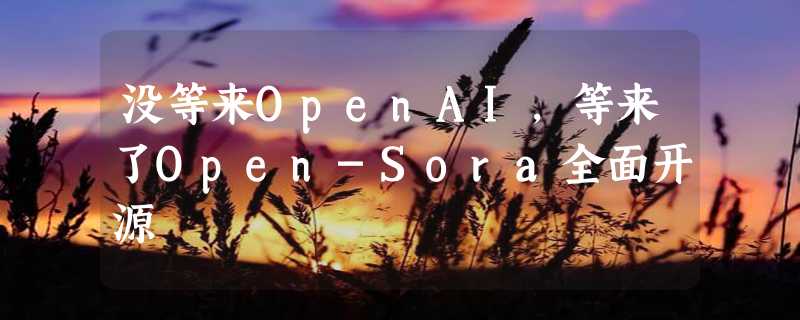 没等来OpenAI，等来了Open-Sora全面开源