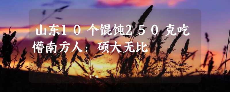 山东10个馄饨250克吃懵南方人：硕大无比