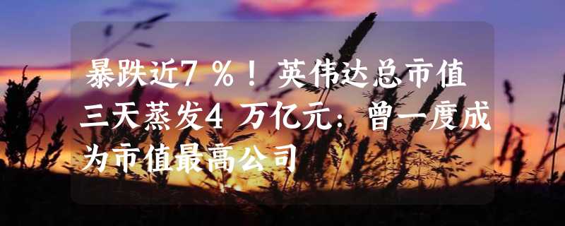 暴跌近7%！英伟达总市值三天蒸发4万亿元：曾一度成为市值最高公司