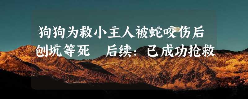 狗狗为救小主人被蛇咬伤后刨坑等死 后续：已成功抢救