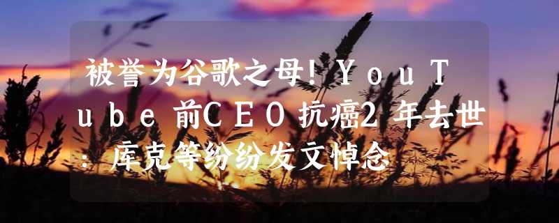 被誉为谷歌之母！YouTube前CEO抗癌2年去世：库克等纷纷发文悼念