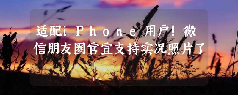 适配iPhone用户！微信朋友圈官宣支持实况照片了