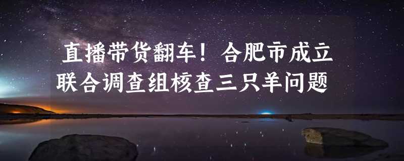 直播带货翻车！合肥市成立联合调查组核查三只羊问题