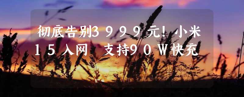 彻底告别3999元！小米15入网 支持90W快充