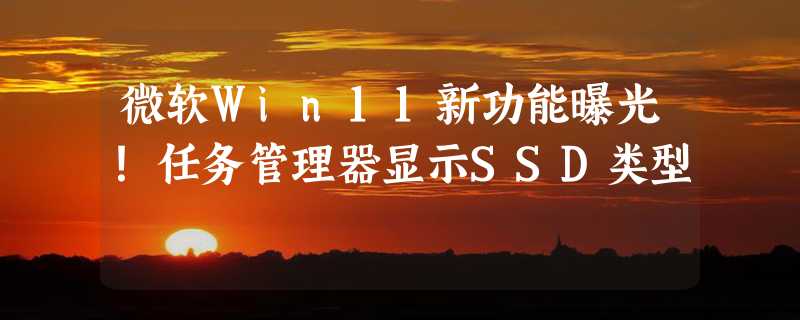 微软Win11新功能曝光！任务管理器显示SSD类型