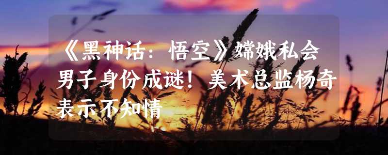 《黑神话：悟空》嫦娥私会男子身份成谜！美术总监杨奇表示不知情