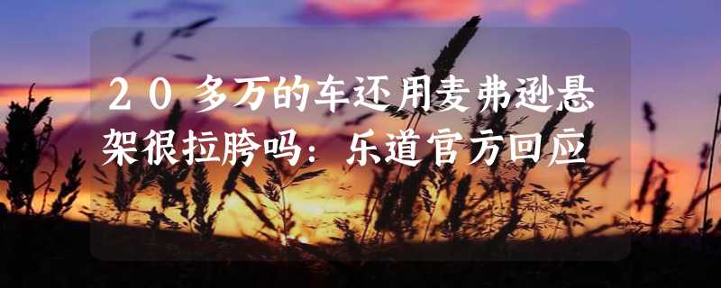 20多万的车还用麦弗逊悬架很拉胯吗：乐道官方回应