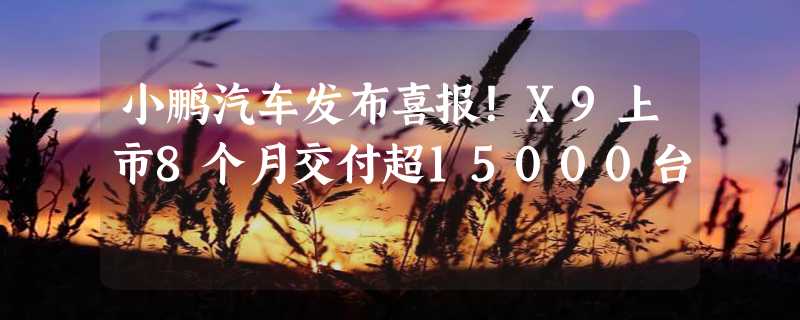 小鹏汽车发布喜报！X9上市8个月交付超15000台