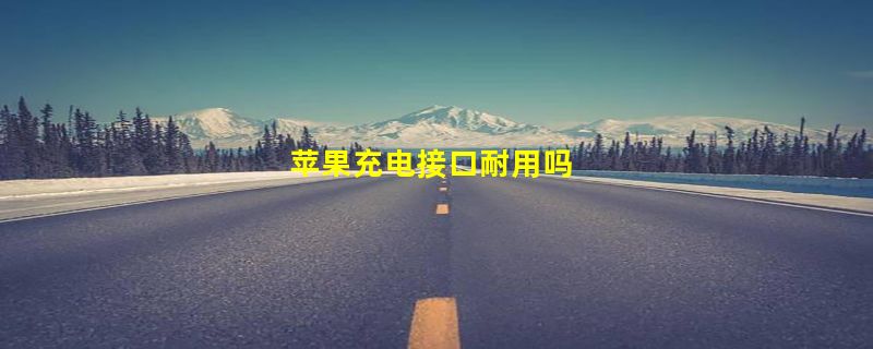 苹果充电接口耐用吗