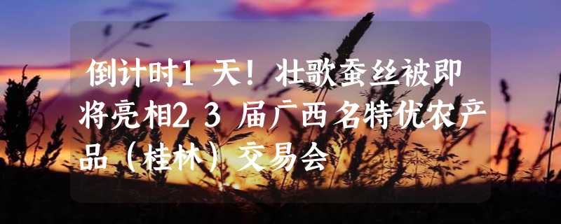 倒计时1天！壮歌蚕丝被即将亮相23届广西名特优农产品（桂林）交易会