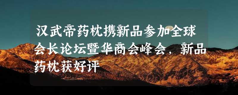 汉武帝药枕携新品参加全球会长论坛暨华商会峰会，新品药枕获好评