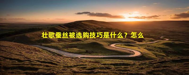 壮歌蚕丝被选购技巧是什么？怎么避免买到假的蚕丝被？