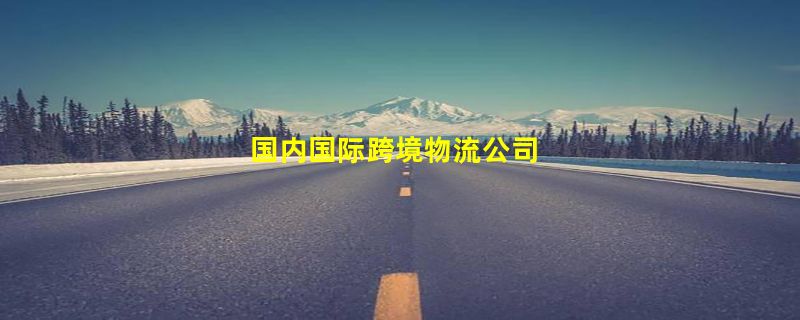 国内国际跨境物流公司