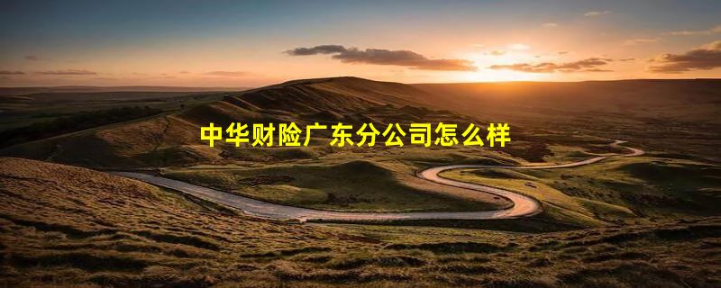 中华财险广东分公司怎么样