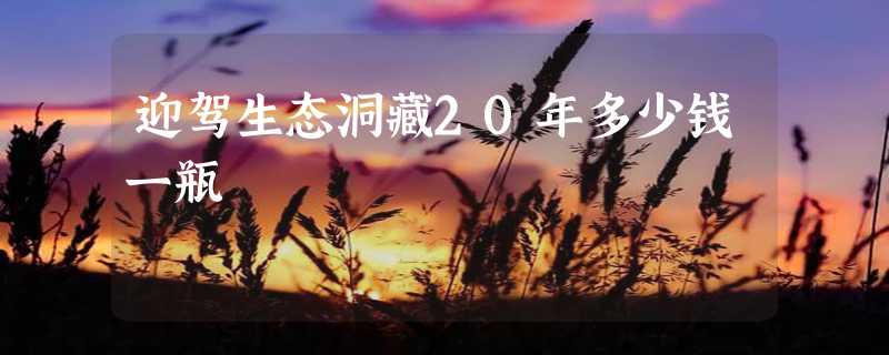 迎驾生态洞藏20年多少钱一瓶