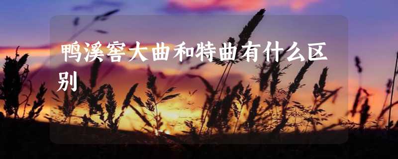 鸭溪窖大曲和特曲有什么区别