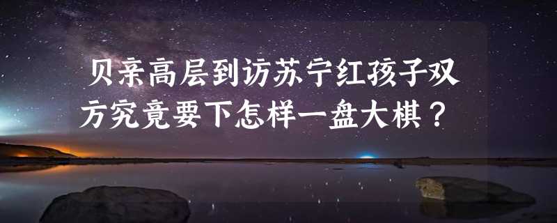 贝亲高层到访苏宁红孩子双方究竟要下怎样一盘大棋？