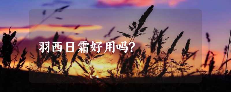 羽西日霜好用吗?