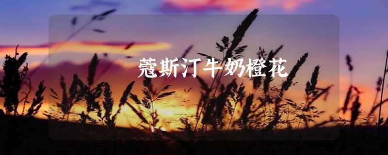 蔻斯汀牛奶橙花