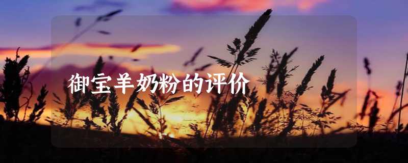 御宝羊奶粉的评价