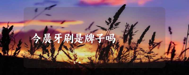 今晨牙刷是牌子吗