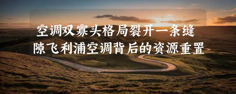 空调双寡头格局裂开一条缝隙飞利浦空调背后的资源重置