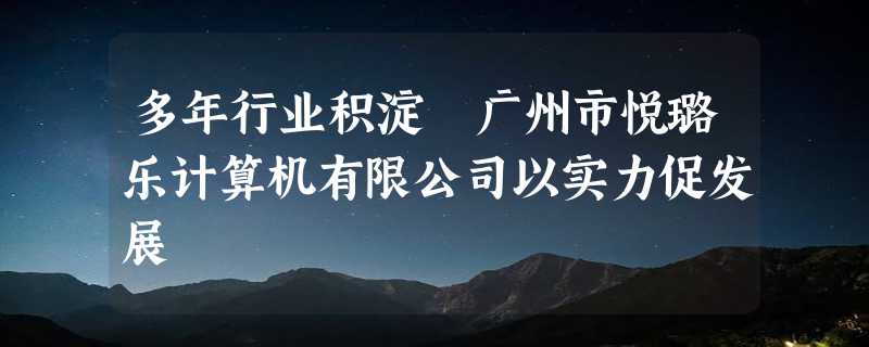 多年行业积淀 广州市悦璐乐计算机有限公司以实力促发展