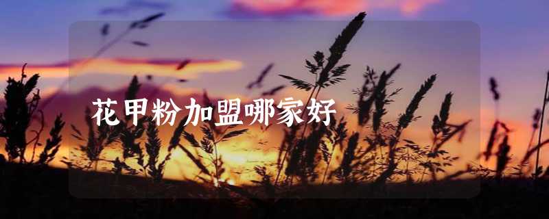 花甲粉加盟哪家好