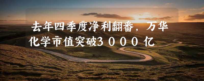 去年四季度净利翻番,万华化学市值突破3000亿