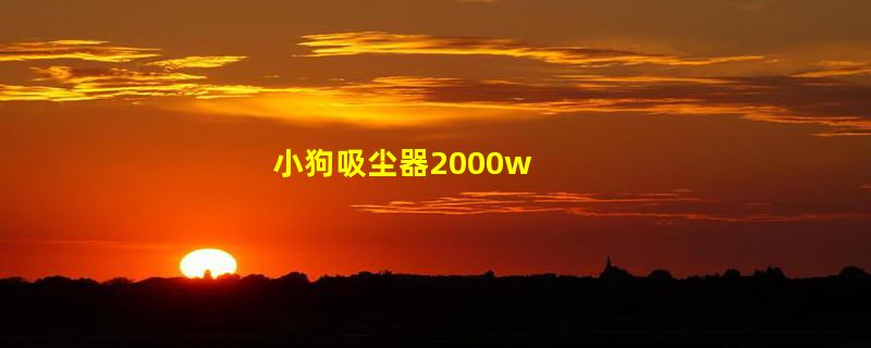 小狗吸尘器2000w