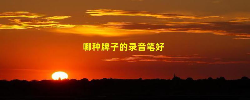 哪种牌子的录音笔好