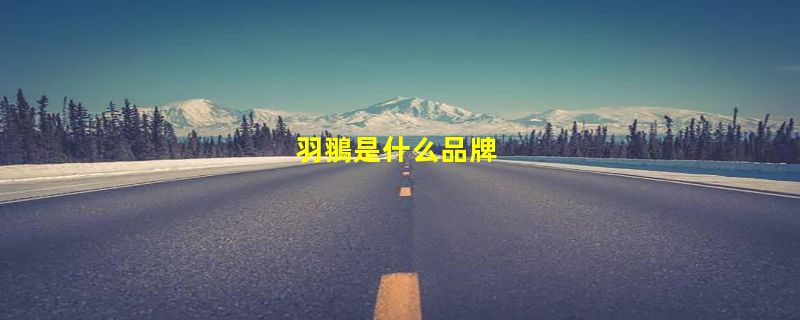 羽翵是什么品牌