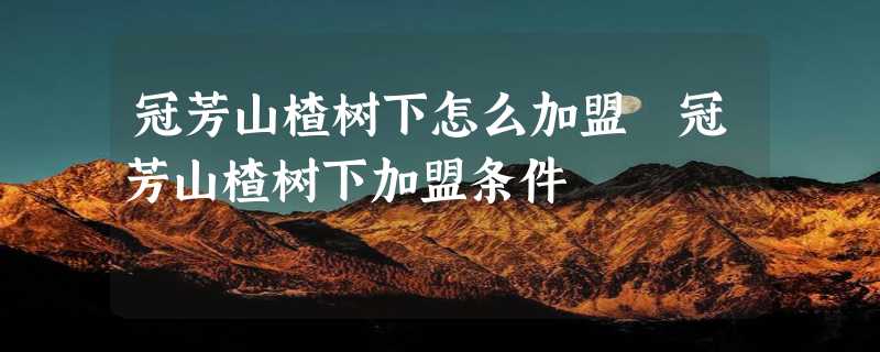 冠芳山楂树下怎么加盟 冠芳山楂树下加盟条件