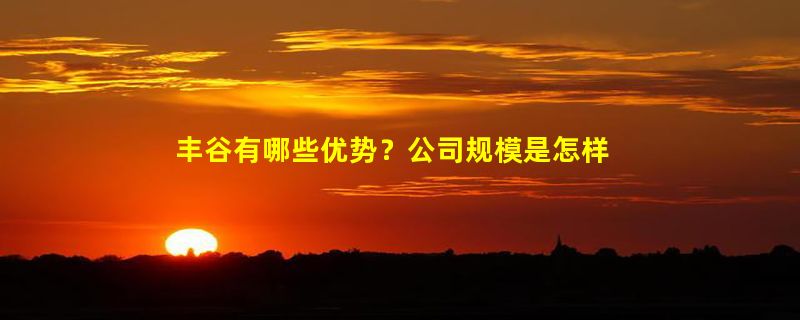 丰谷有哪些优势？公司规模是怎样的