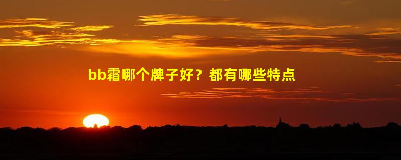 bb霜哪个牌子好？都有哪些特点呢？