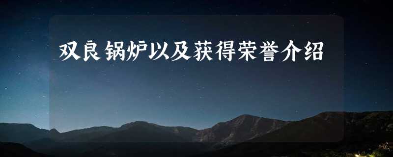 双良锅炉以及获得荣誉介绍