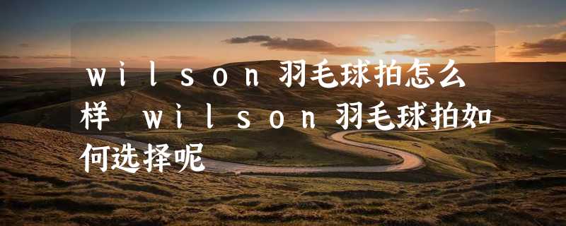 wilson羽毛球拍怎么样 wilson羽毛球拍如何选择呢