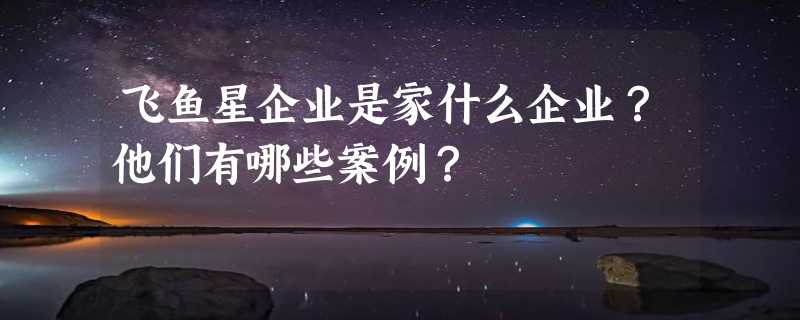 飞鱼星企业是家什么企业？他们有哪些案例？