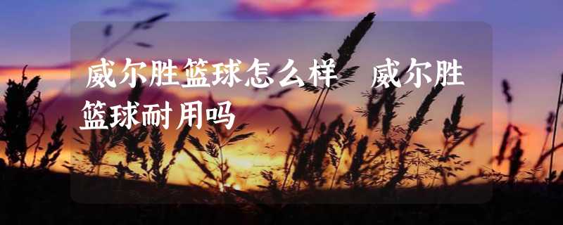 威尔胜篮球怎么样 威尔胜篮球耐用吗