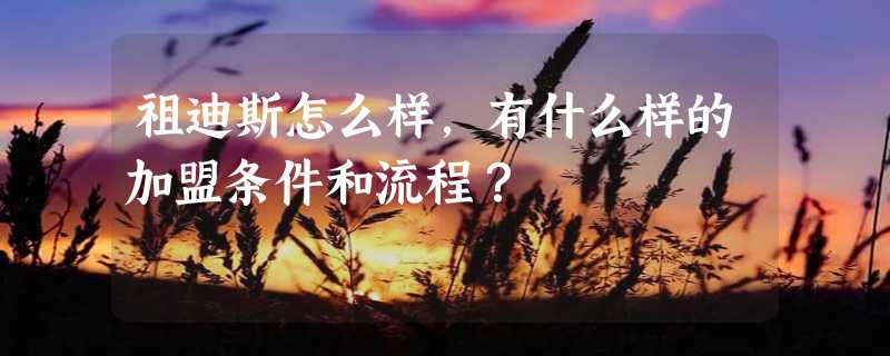 祖迪斯怎么样，有什么样的加盟条件和流程？